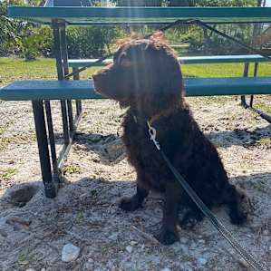 Moondance RV Lot on Cape San Blas!