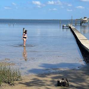Private Waterfront w/ Beach & Dock