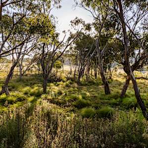 Farm surrounds.