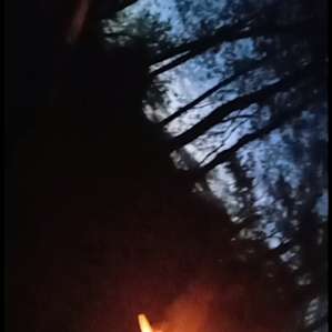 Overlanders haven in the trees!