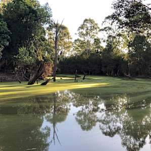 Paradise Lost on the Burnett