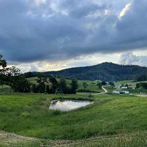 Dairy Camp - Choose your Campsite