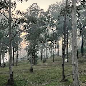 Jila Camp Grounds