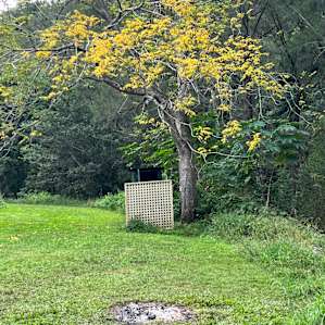 Booloumba Creek Campsites