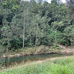 Booloumba Creek Campsites