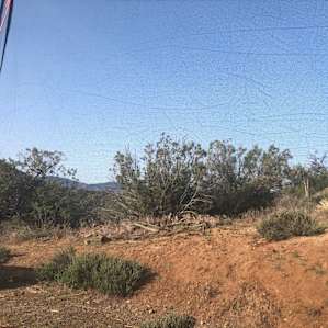 Campsite surroundings.