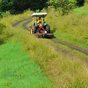 Tractor at work