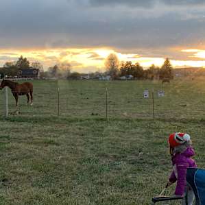 Ochoco Valley Farm
