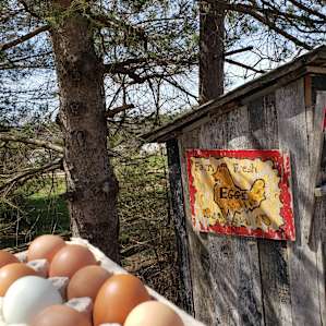 Beeberry Cottage at Laurenwood Farm