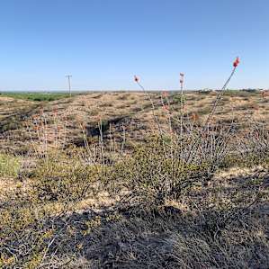 The Roadrunner RVer Refuge