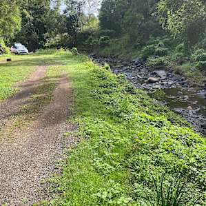 Mountain, Creek & Rainforest Camp