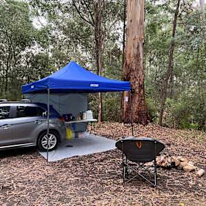 Site 2