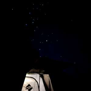 Orchard & Pine Trees Camping