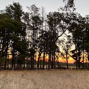 Sunset was amazing.