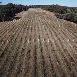 Drakesbrook Wines Vineyard Lake