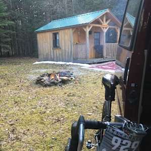 White Tail Cabin