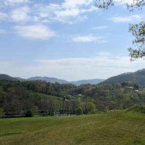 Smoky Mtn. Mangalitsa Car Camp