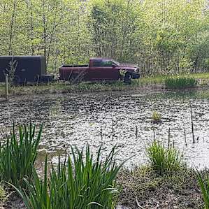The Pond at Dogwood Acres