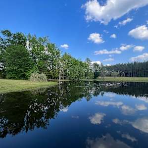 Deerfield Farms