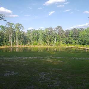 Pond view from campsite 1