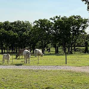 Guest Suite on Scenic Farm