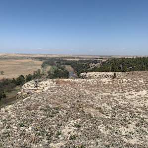 View from the top of the bluff looking north.