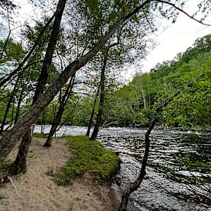 The River Life