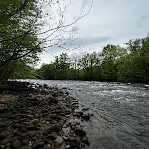 The River Life