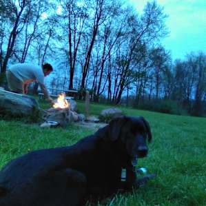 Lake and Forest Camping