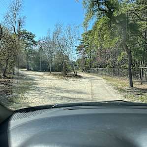 Pine Barrens Camping