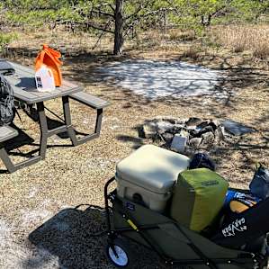 Pine Barrens Camping