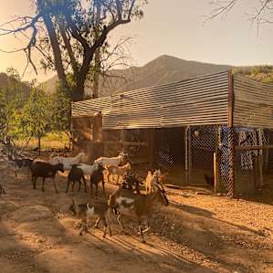 Los Encinos Ranch in Ojai CA