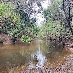 Rosehill Munna Creek Camp