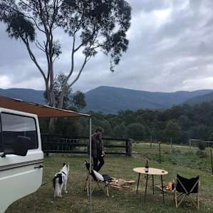 Mountain View Oak Tree Campsites