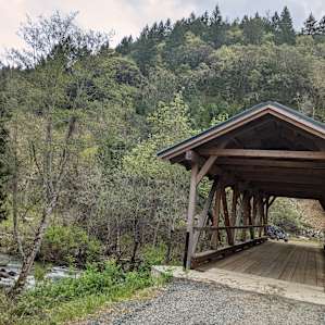 Forested creekside campsite