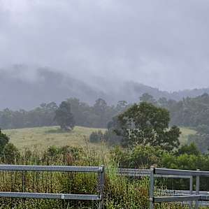 Noosa Equestrian & Camping Powered