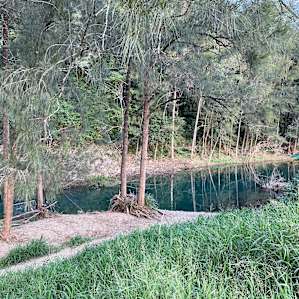 Booloumba Creek Campsites