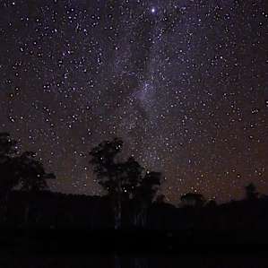 Cradle Mountain Fishery and Camping