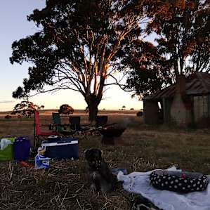 Bellmount Camping