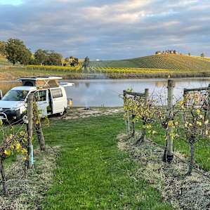 Mt Hope Vineyard - Dixons Creek