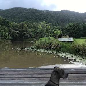 Platypus Camp