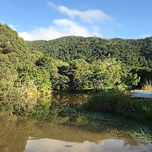 Platypus Camp