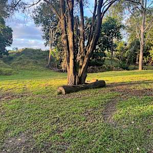Photos from ours campsite