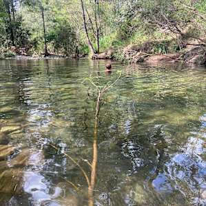 Kobble Creek Family Camp Out