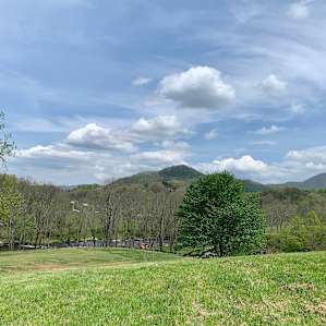 Smoky Mtn. Mangalitsa River Camp