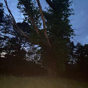 Stone Mill Camping