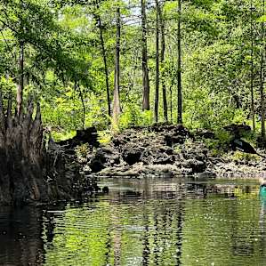 River by the Treehouse