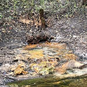 Small spring just past the property