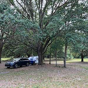 Spacious Oak Hammock