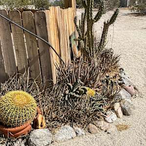 Desert scape